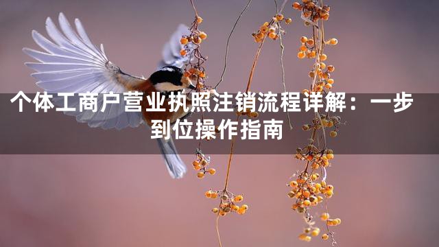 個(gè)體工商戶營(yíng)業(yè)執(zhí)照注銷流程詳解:一步到位操作指南