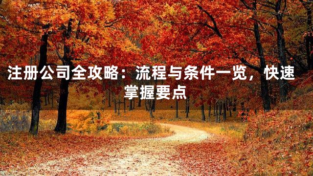 注冊(cè)公司全攻略:流程與條件一覽,快速掌握要點(diǎn)